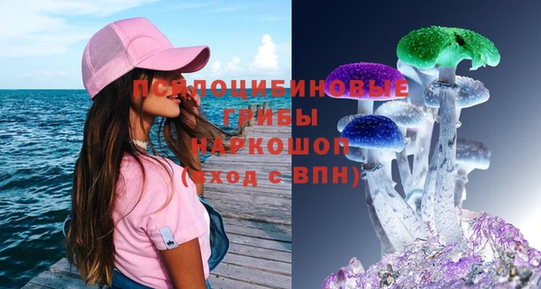 МДПВ Анива