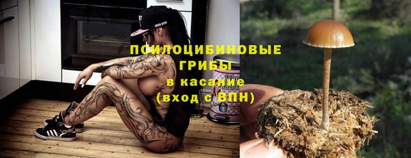 a pvp Медногорск